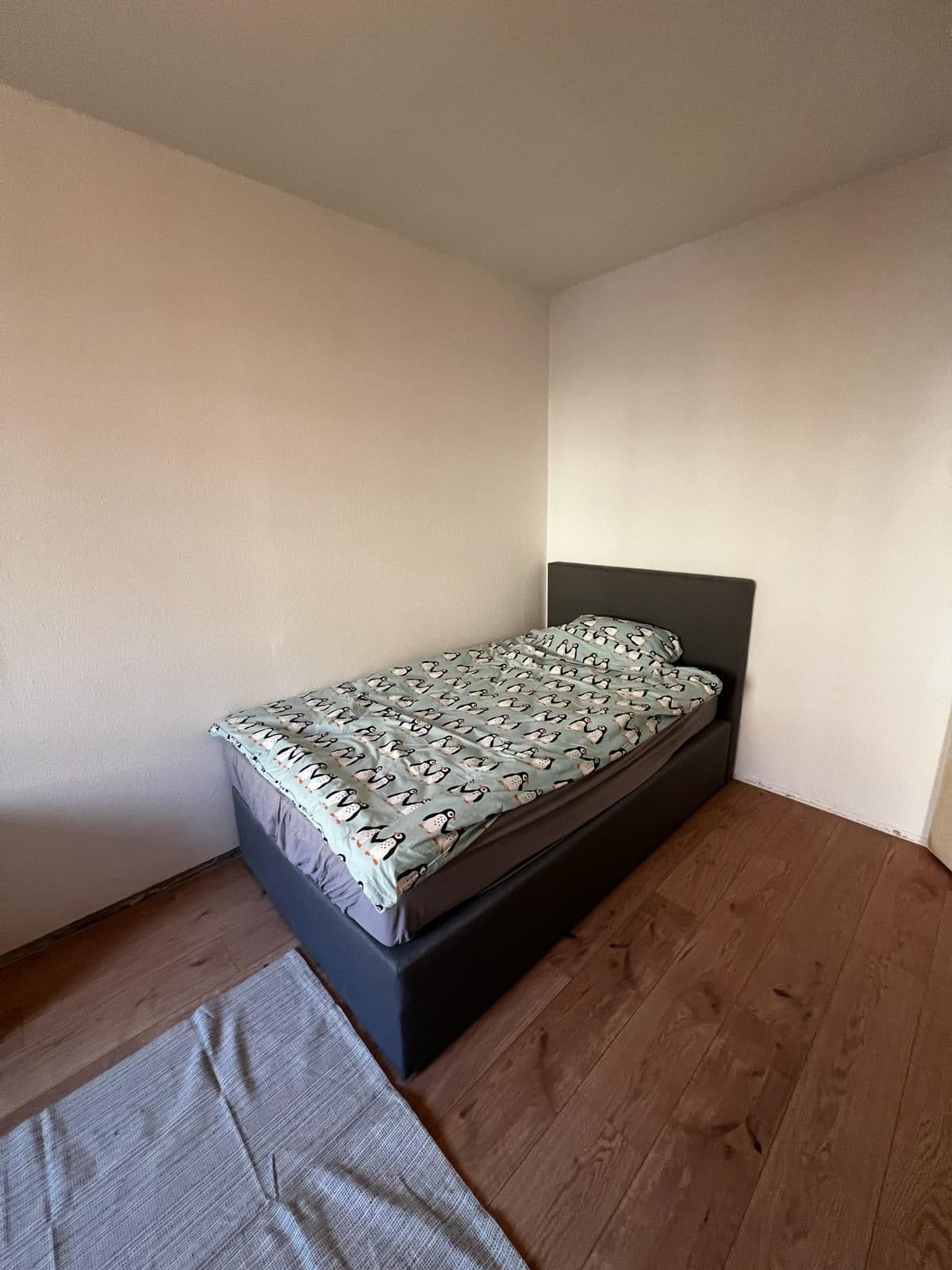Photo 2 of furnished apartment LL23, Platanenstr. 17, 04329 Leipzig